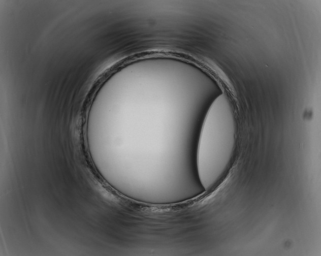 X0000101480831200807071241