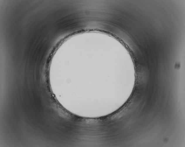 X0000101480832200807071241