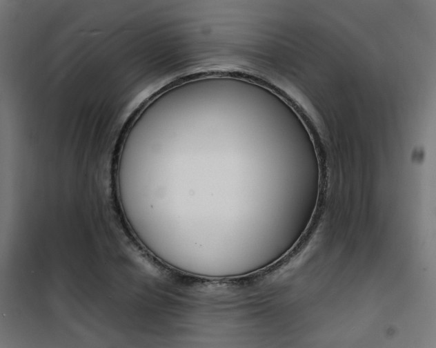 X0000101480834200807071241