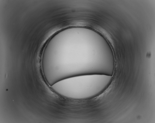X0000101480835200807071241