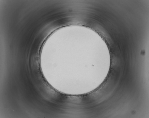 X0000101480836200807071241