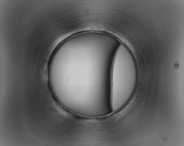 X0000101480838200807071241