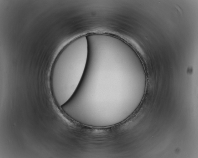 X0000101480839200807071241