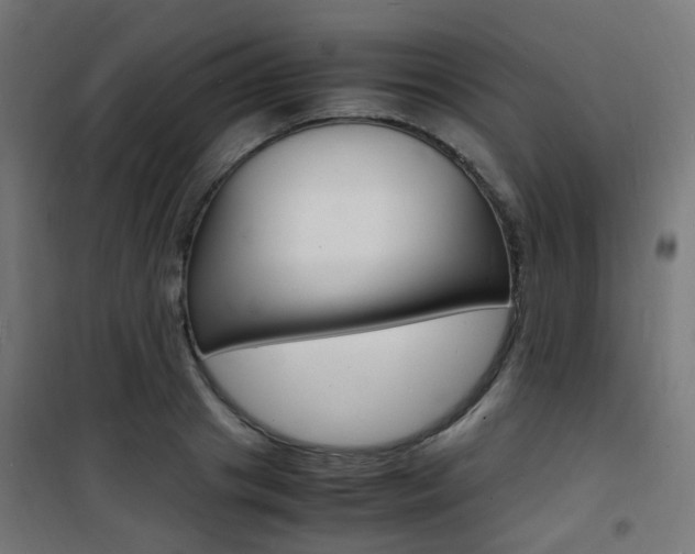 X0000101480841200807071241
