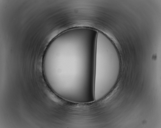 X0000101480842200807071241