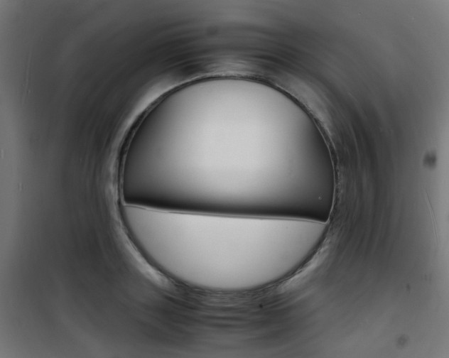 X0000101480843200807071241