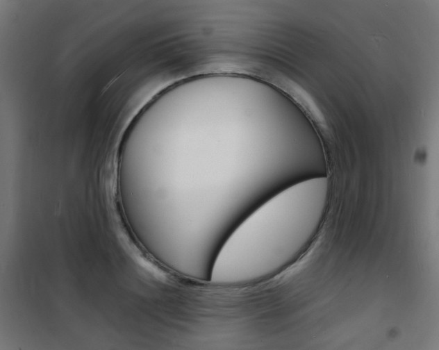 X0000101480844200807071241