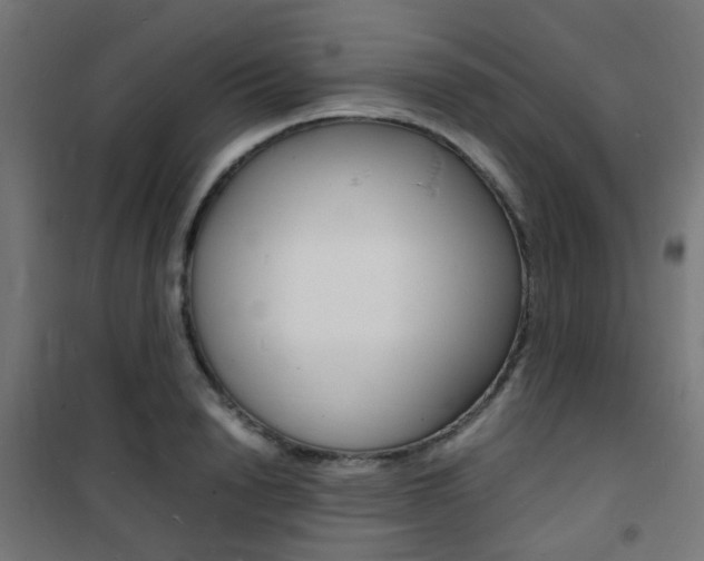 X0000101480846200807071241