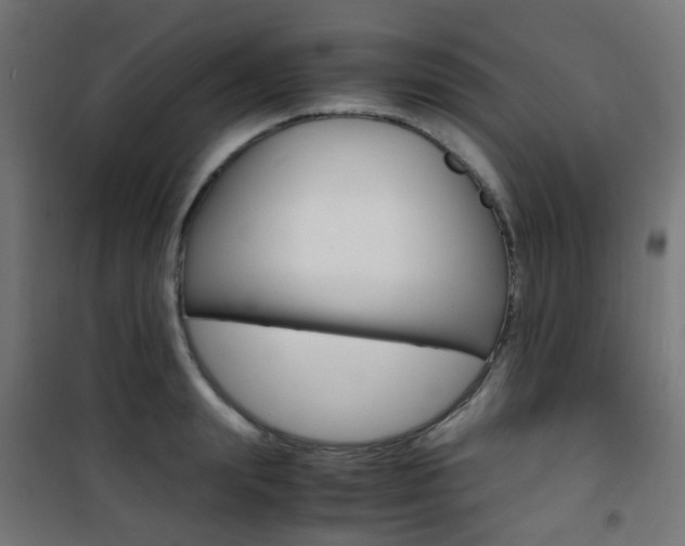 X0000101480847200807071241