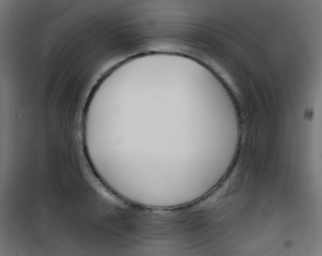 X0000101480848200807071241