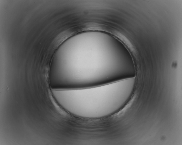 X0000101480849200807071241
