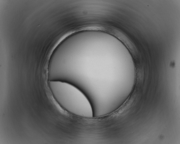 X0000101480852200807071241