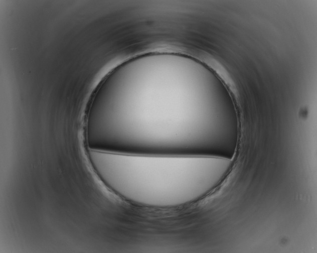 X0000101480853200807071241
