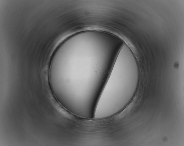 X0000101480854200807071241