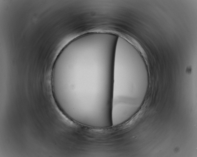 X0000101480855200807071241