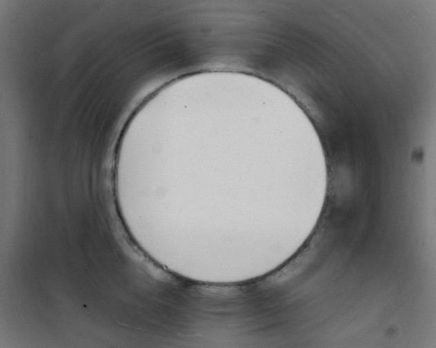 X0000101480856200807071241