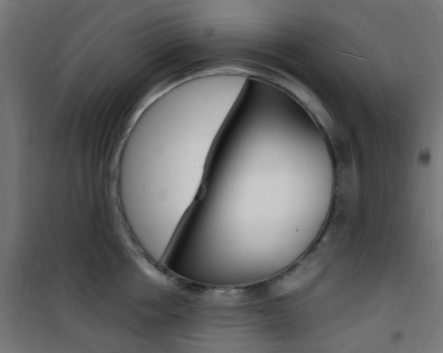 X0000101480858200807071241
