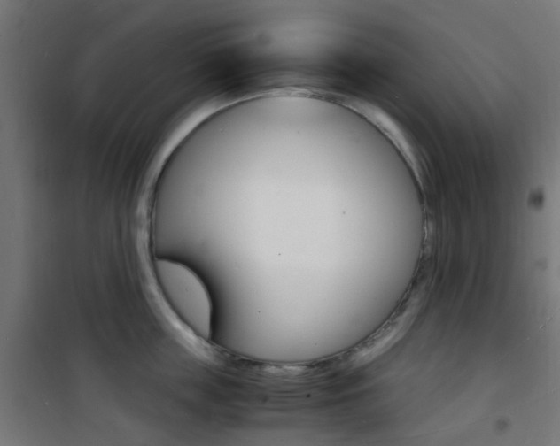 X0000101480859200807071241
