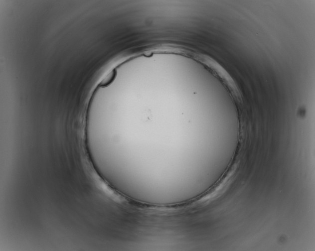 X0000101480860200807071241