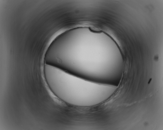 X0000101480861200807071241