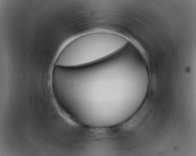 X0000101480862200807071241