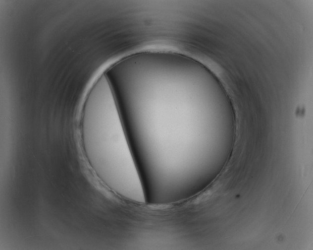 X0000101480864200807071241