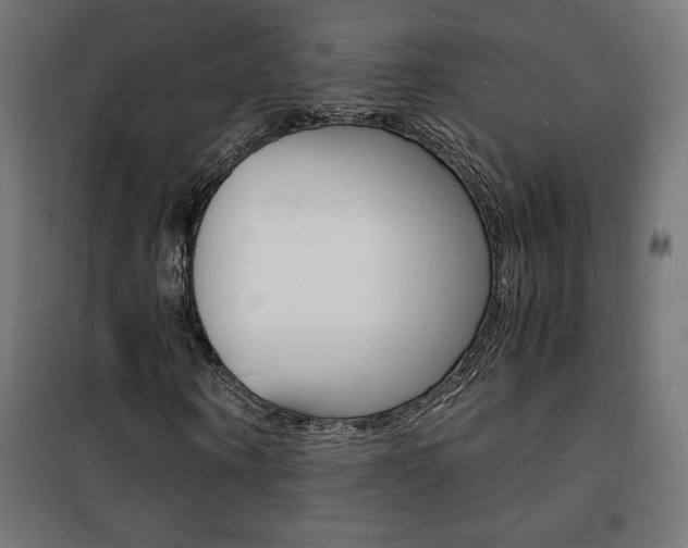 X0000101480866200807071241