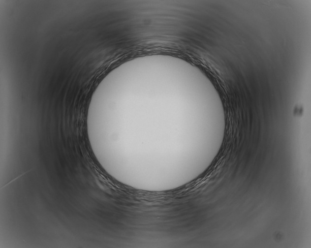 X0000101480868200807071241