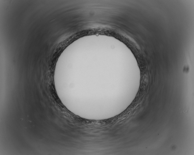 X0000101480869200807071241