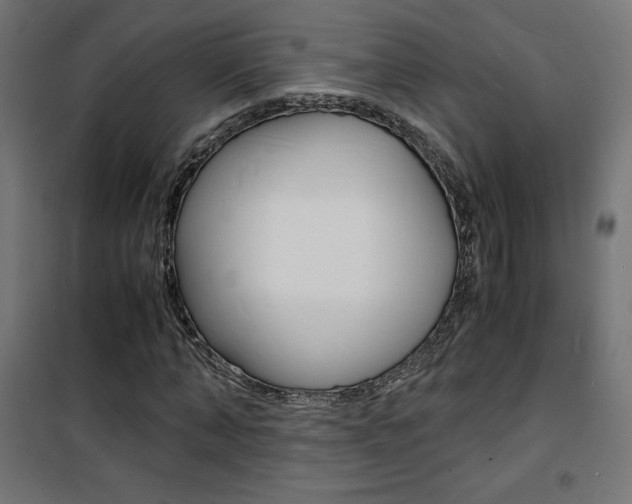 X0000101480870200807071241