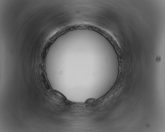 X0000101480871200807071241