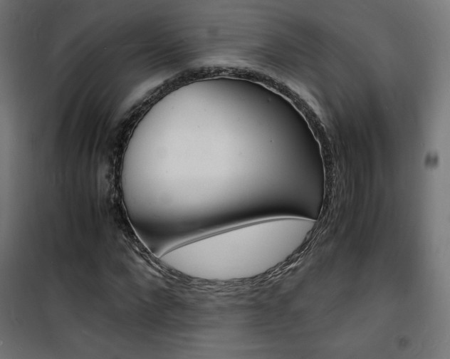 X0000101480872200807071241