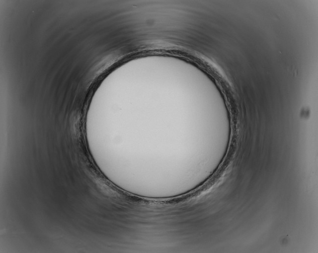 X0000101480873200807071241
