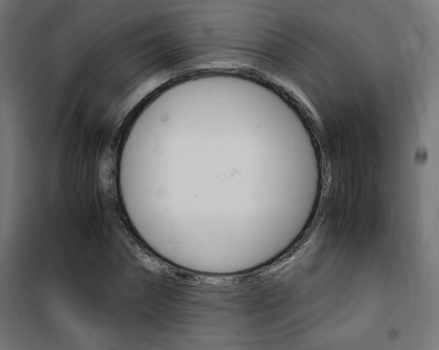 X0000101480874200807071241