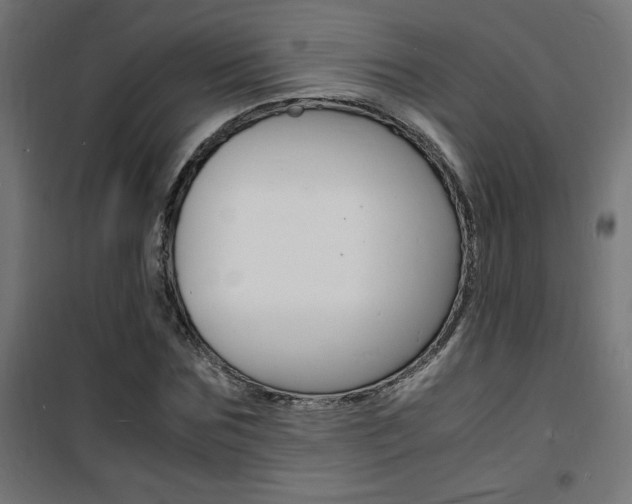 X0000101480875200807071241