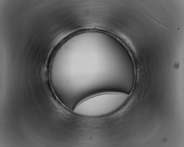 X0000101480876200807071241
