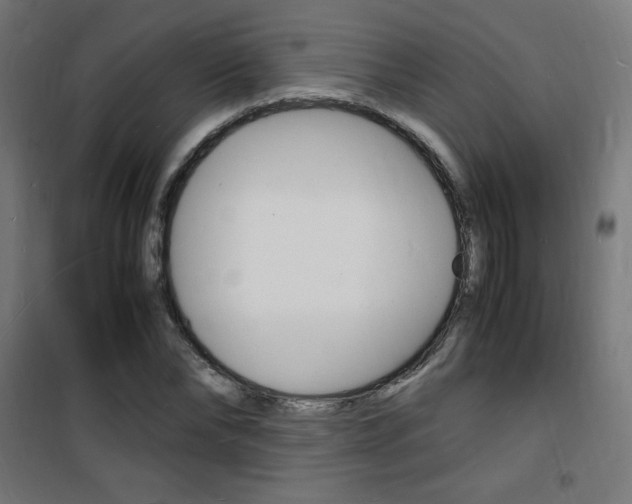 X0000101480878200807071241