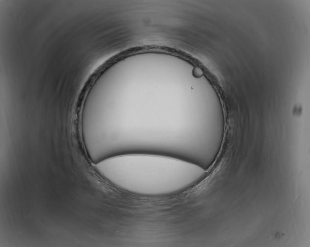 X0000101480879200807071241