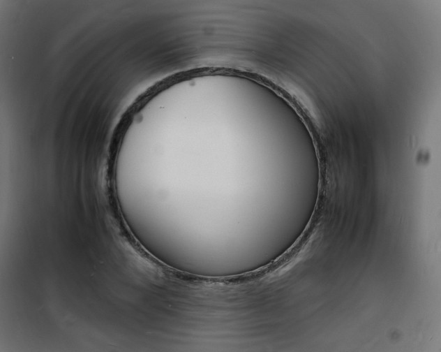 X0000101480880200807071241