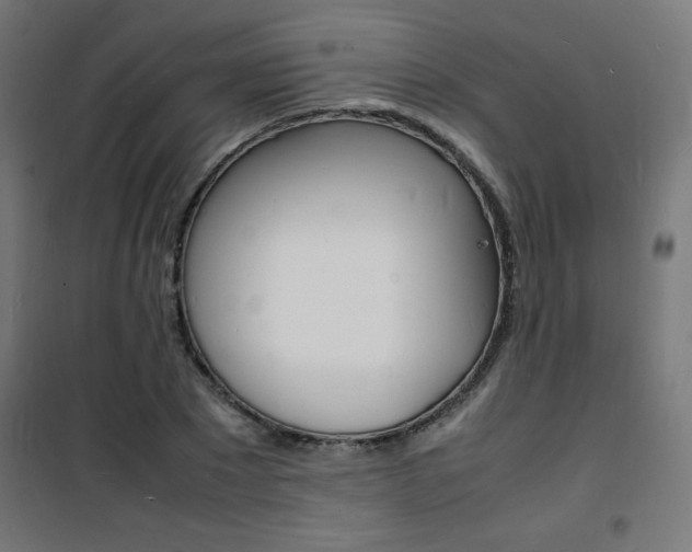 X0000101480881200807071240