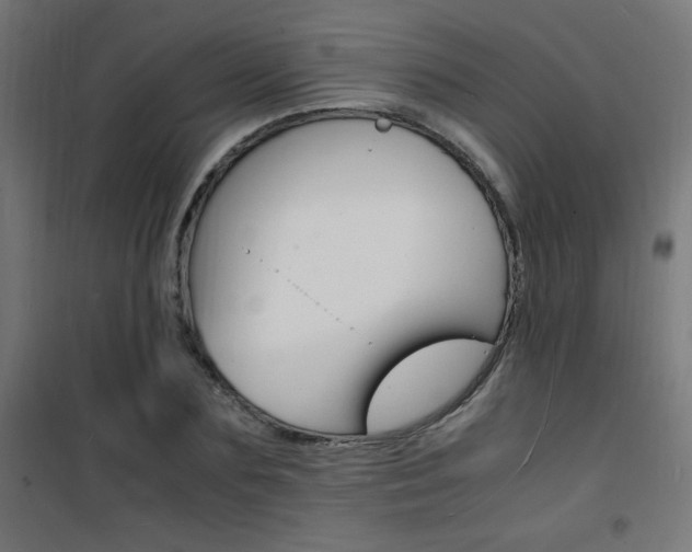 X0000101480883200807071240