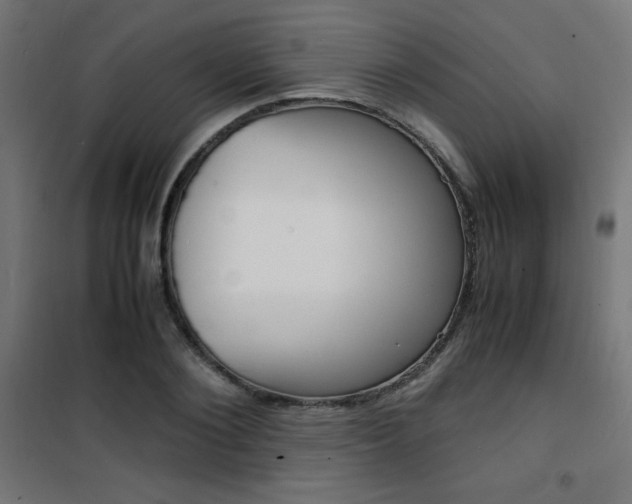X0000101480884200807071240