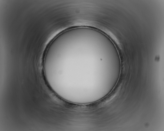 X0000101480885200807071240