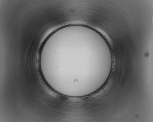 X0000101480886200807071240