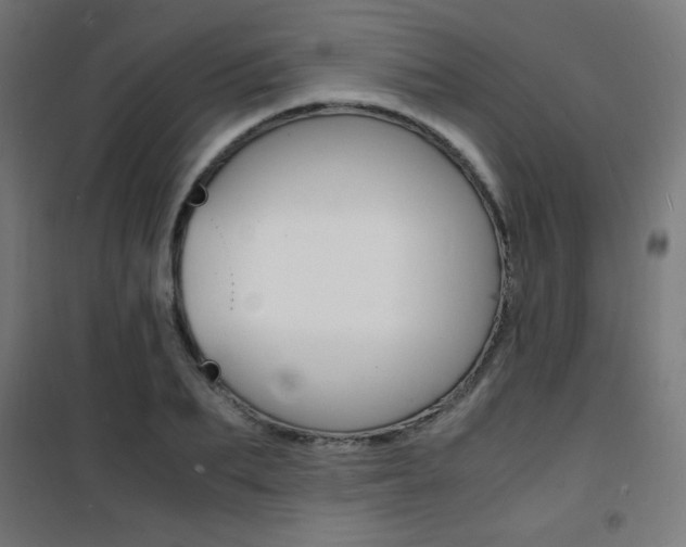 X0000101480887200807071240