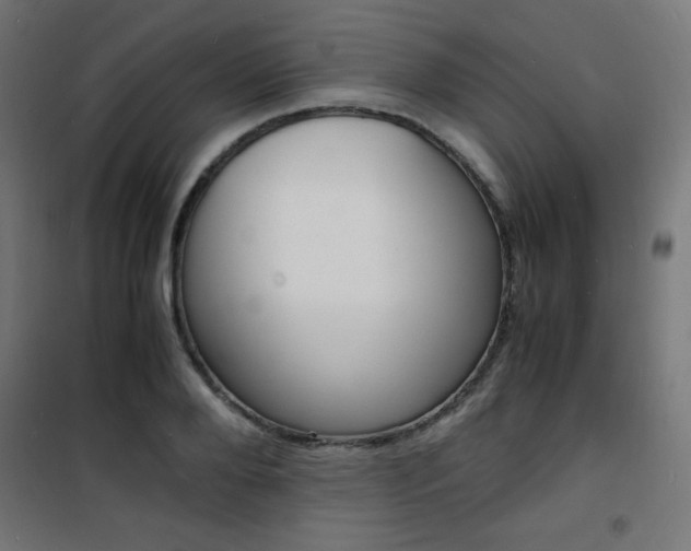 X0000101480888200807071240