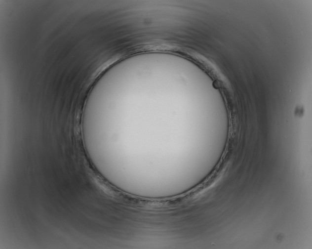 X0000101480889200807071240