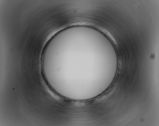 X0000101480890200807071240