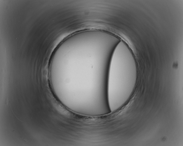 X0000101480891200807071240
