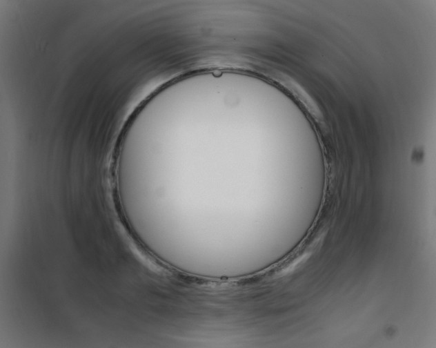 X0000101480893200807071240